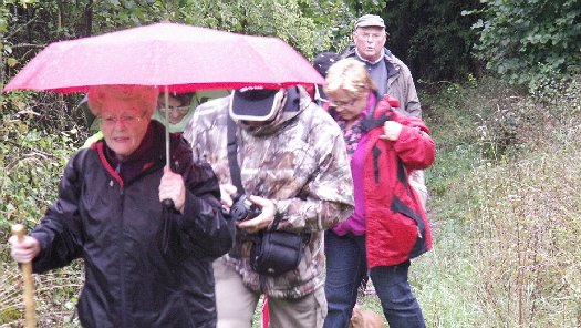 Die Wandertour de Bier 2014 - Oberroßbach (13)