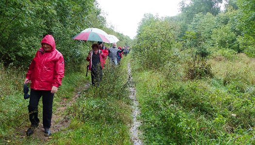 Die Wandertour de Bier 2014 - Oberroßbach (4)