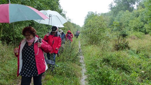 Die Wandertour de Bier 2014 - Oberroßbach (5)