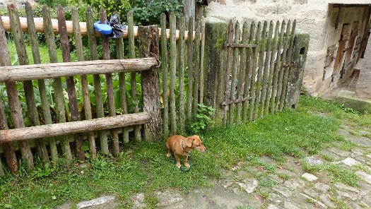 Die Wandertour de Bier 2014 - Oberroßbach (72)