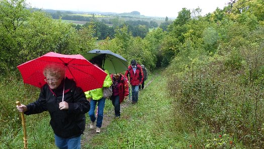 Die Wandertour de Bier 2014 - Oberroßbach (9)